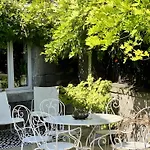 Les Hirondelles Du Marais