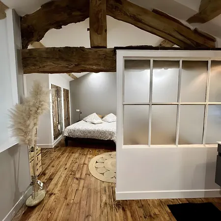 Les Hirondelles Du Marais 3* 리옴