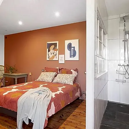 Les Hirondelles Du Marais B&B 3*