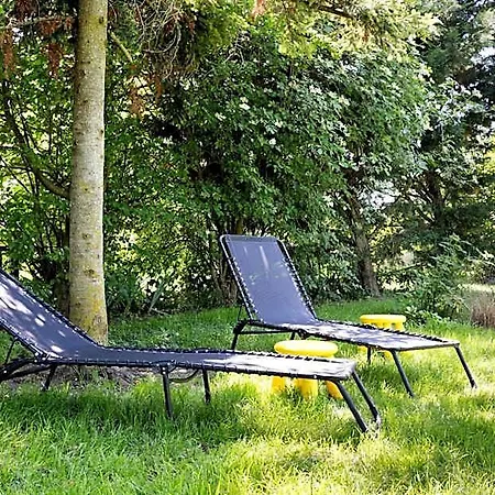 Les Hirondelles Du Marais