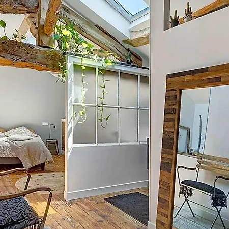 Les Hirondelles Du Marais 3* 리옴