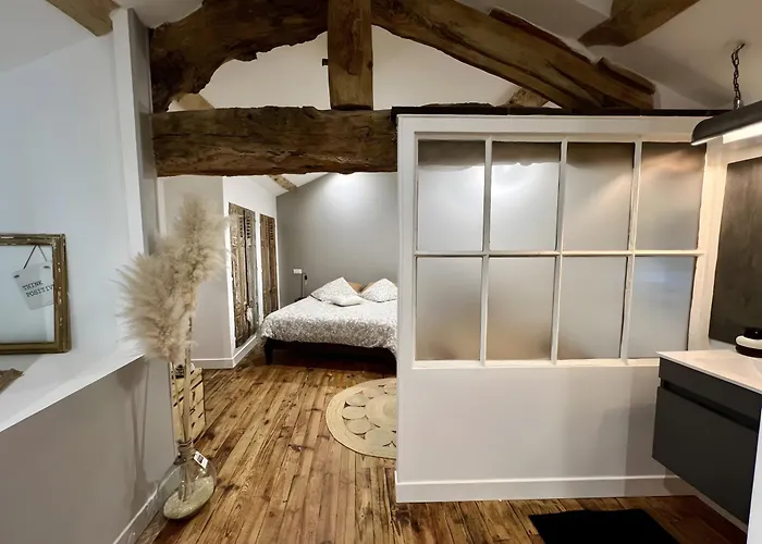 Les Hirondelles Du Marais 3* Риом