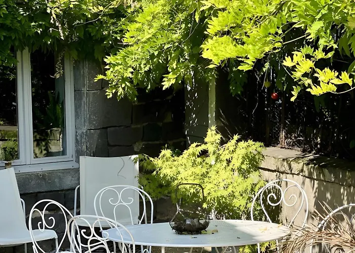 Les Hirondelles Du Marais