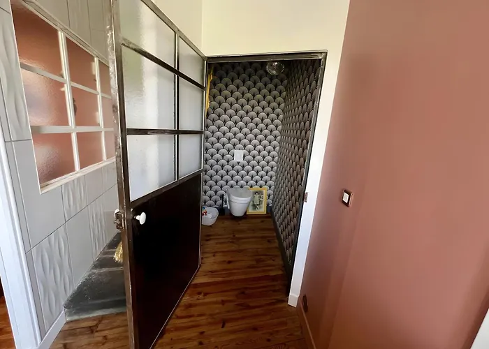 Les Hirondelles Du Marais