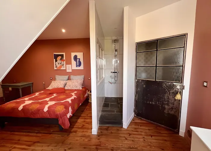 Les Hirondelles Du Marais 3* Риом